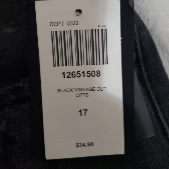 HT Denim Hi-Rise Vintage Cutoffs - Picture 3 of 6